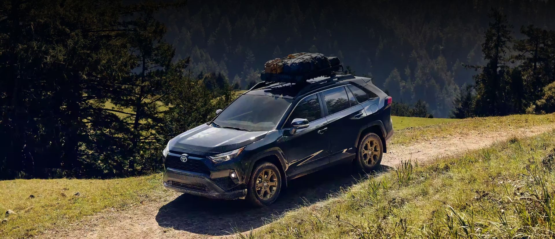 RAV4 Hybrid Woodland Edition en color Midnight Black Metallic 